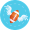 011-american-football-export_46